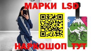 бошки Кингисепп