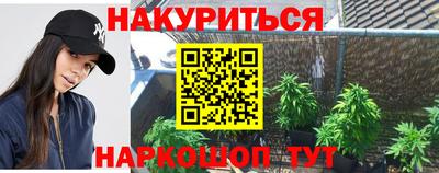 бошки Кингисепп