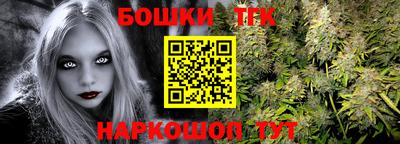 бошки Кингисепп