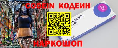 бошки Кингисепп