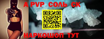 бошки Кингисепп