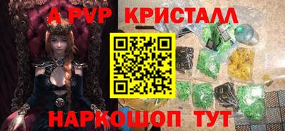 бошки Кингисепп