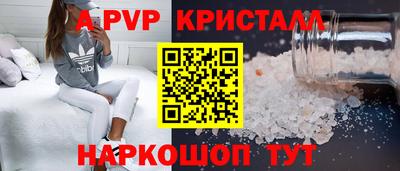 бошки Кингисепп